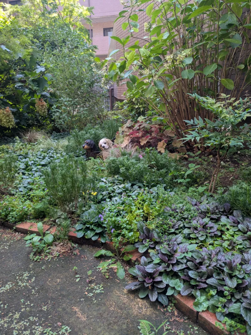 植栽管理の様子