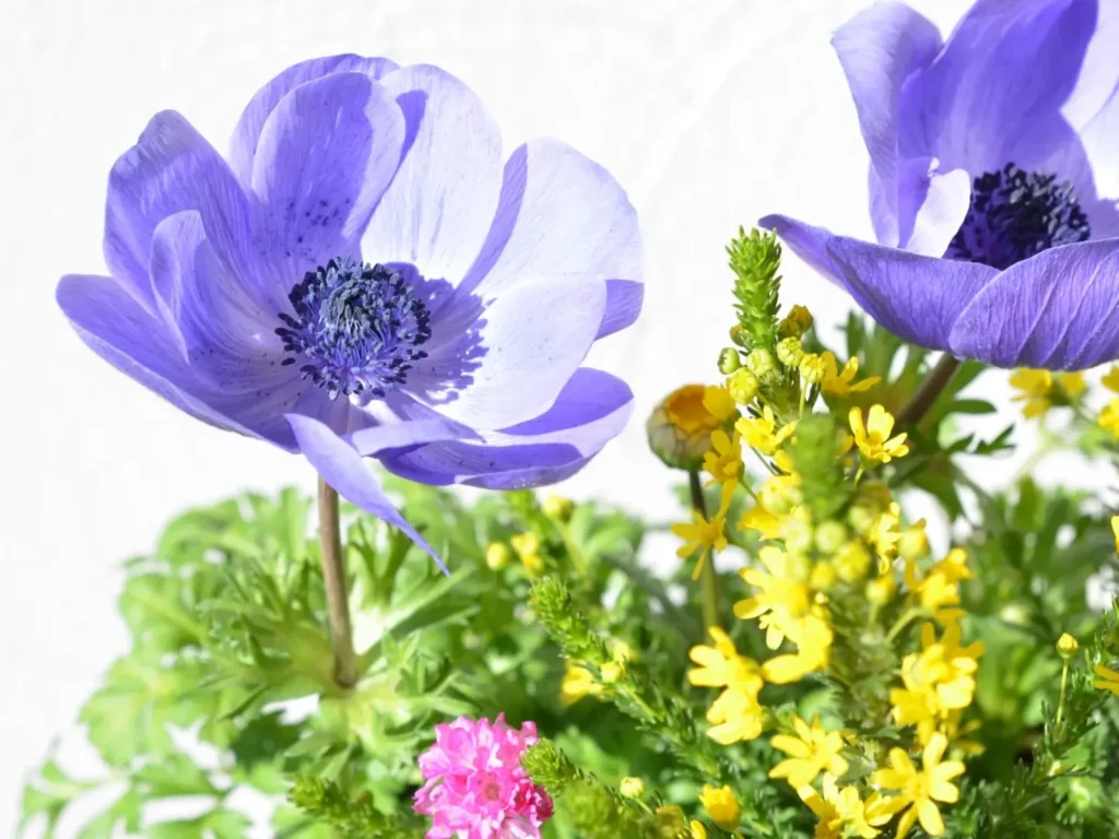 お花屋さんエフルール
